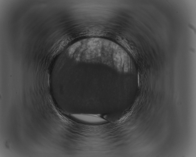 X0000097500205200803201559