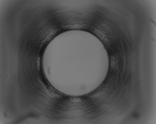 X0000097500206200803201559