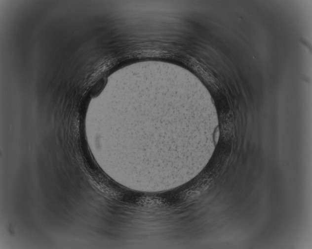 X0000097500207200803201559