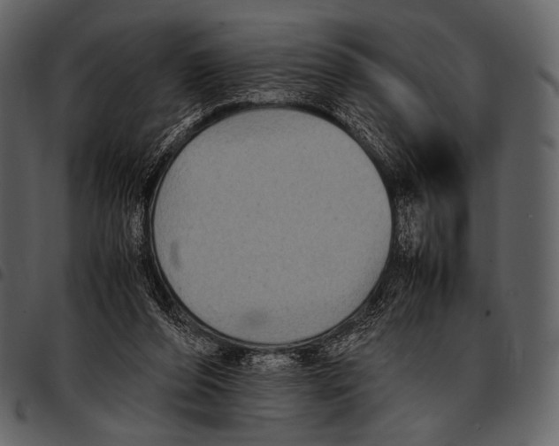 X0000097500208200803201559