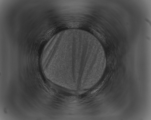 X0000097500209200803201559