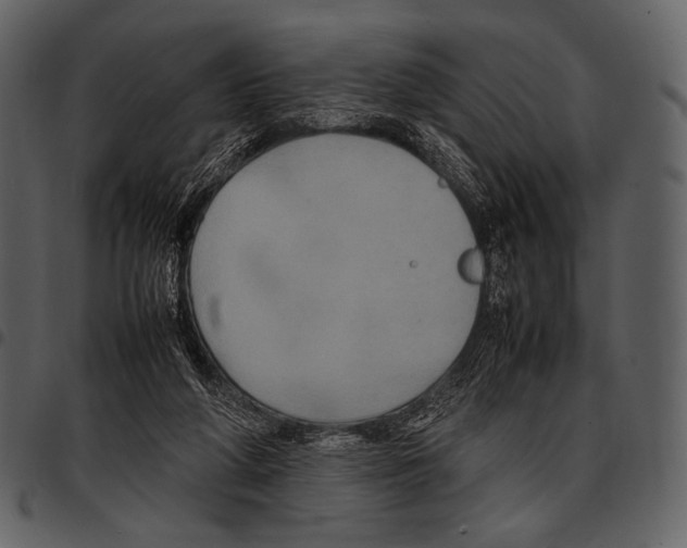 X0000097500210200803201559