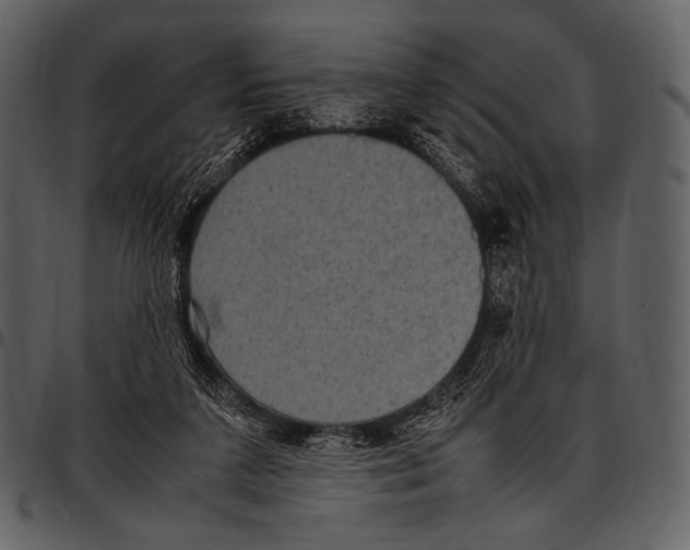 X0000097500211200803201559