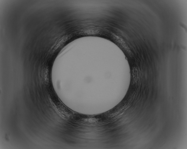 X0000097500212200803201559