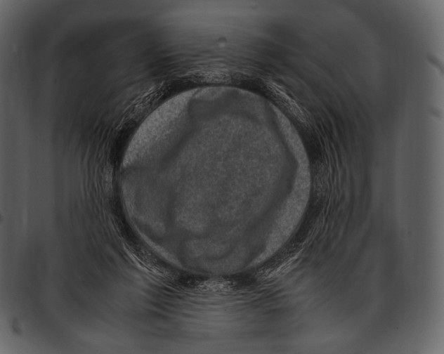 X0000097500213200803201559