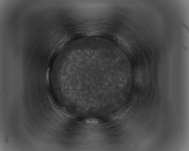 X0000097500214200803201559