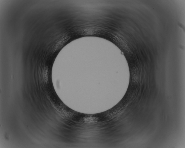 X0000097500216200803201559