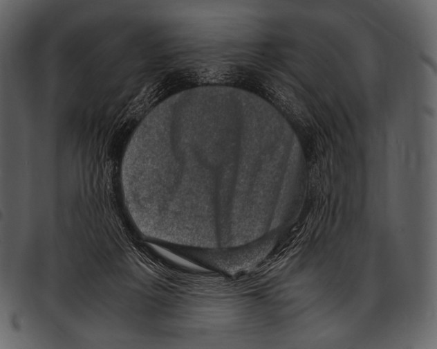 X0000097500217200803201559