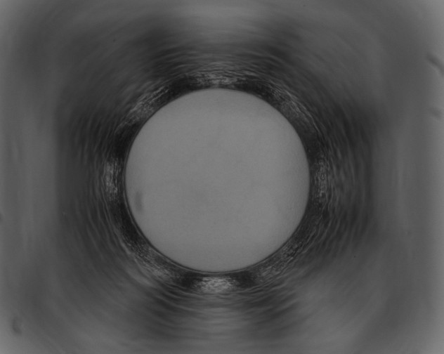 X0000097500218200803201559