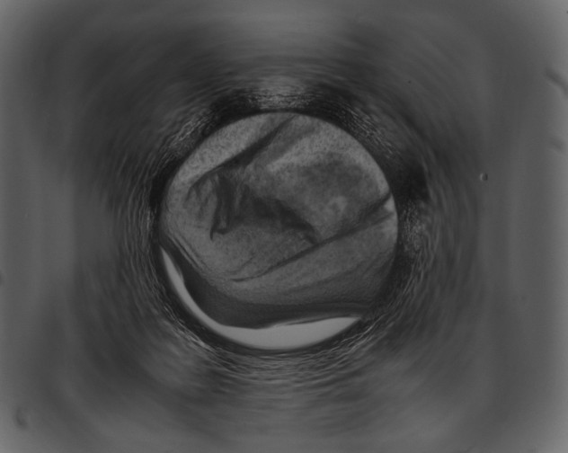 X0000097500219200803201559