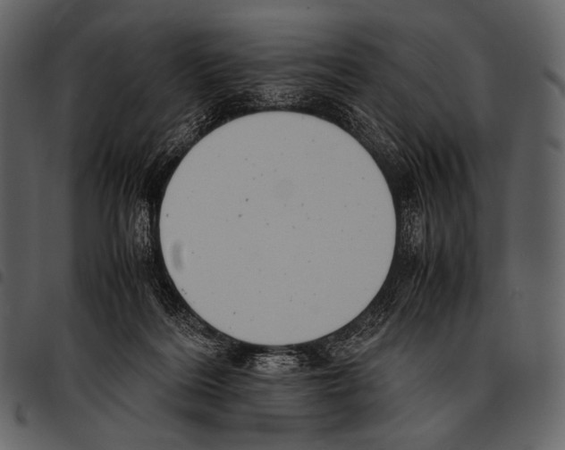 X0000097500220200803201559