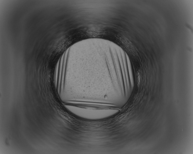 X0000097500221200803201559