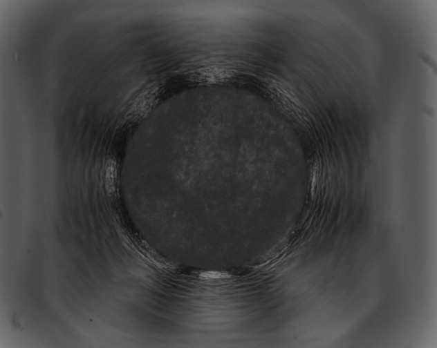 X0000097500222200803201559