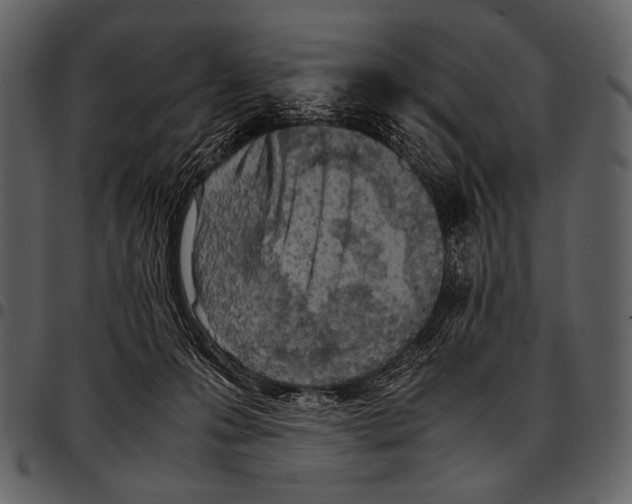 X0000097500223200803201559