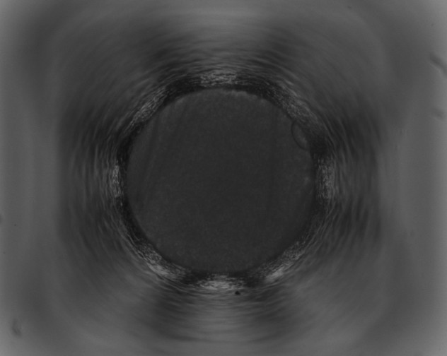 X0000097500224200803201559