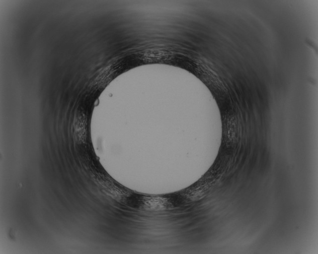 X0000097500226200803201559