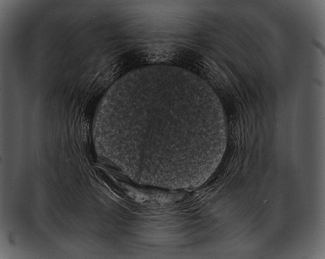 X0000097500227200803201559