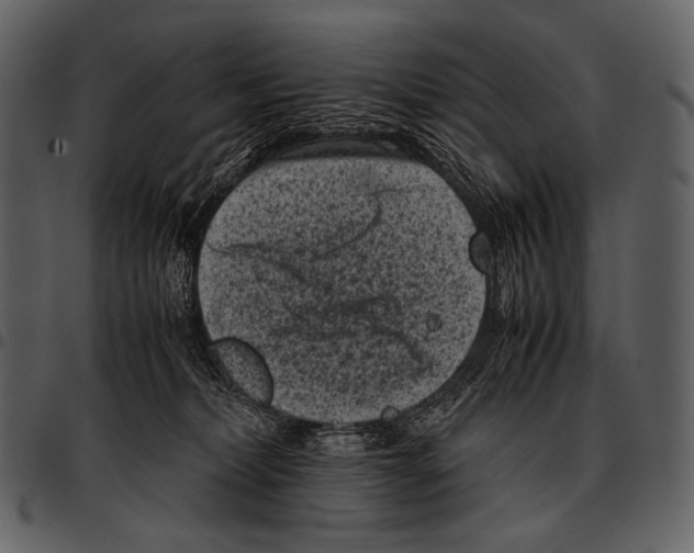 X0000097500228200803201559