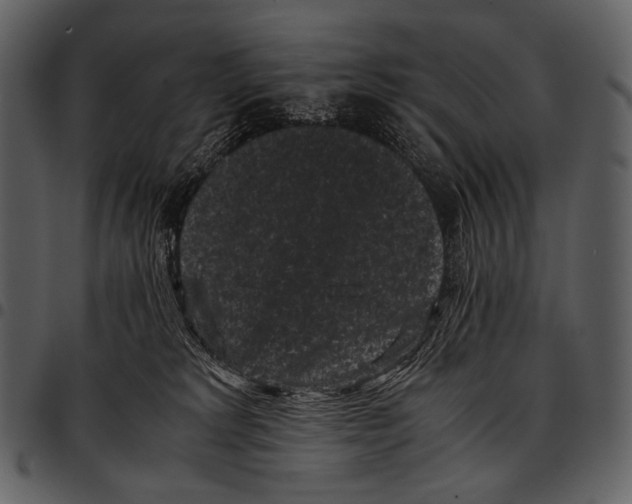 X0000097500229200803201559