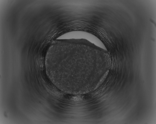 X0000097500232200803201559