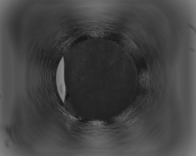 X0000097500233200803201559