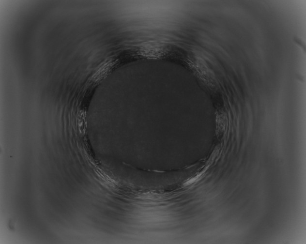 X0000097500237200803201559