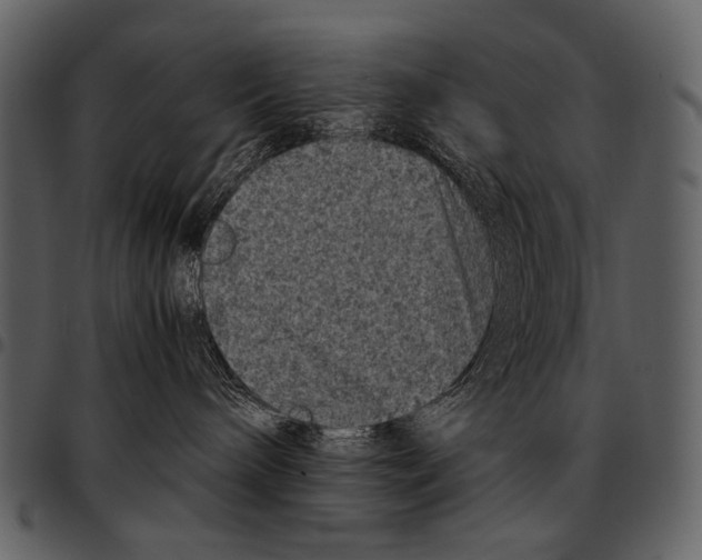 X0000097500240200803201559