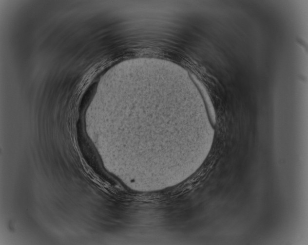 X0000097500241200803201558