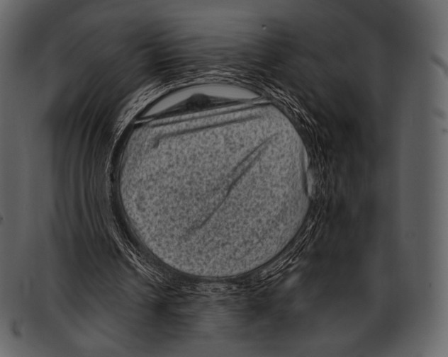 X0000097500242200803201558