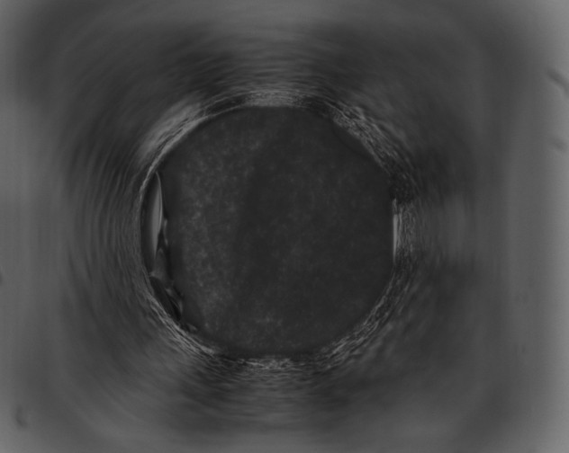 X0000097500243200803201558