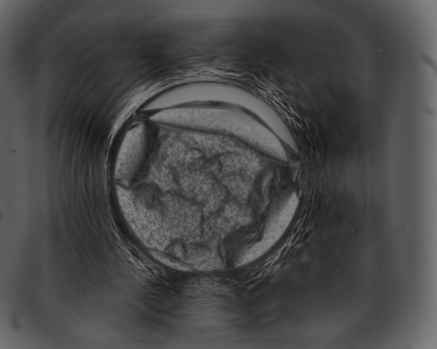 X0000097500244200803201558