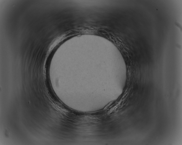 X0000097500246200803201558