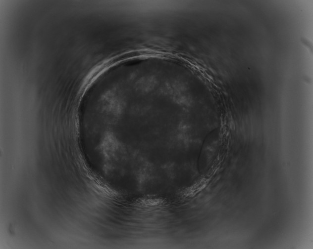 X0000097500247200803201558