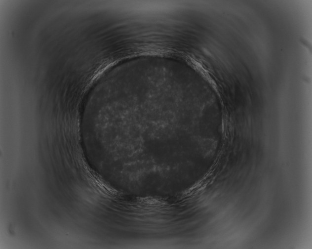 X0000097500249200803201558
