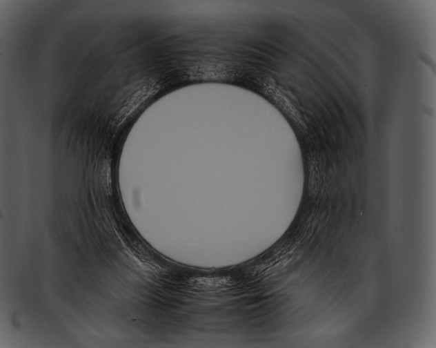 X0000097500251200803201558