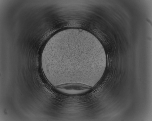 X0000097500252200803201558