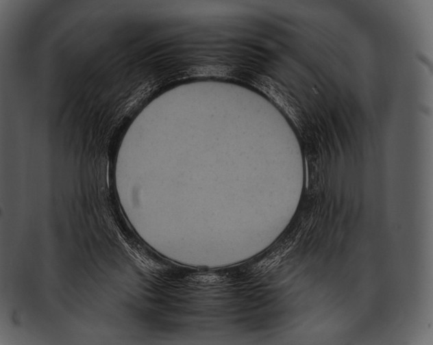 X0000097500253200803201558