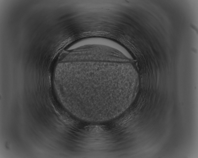 X0000097500254200803201558
