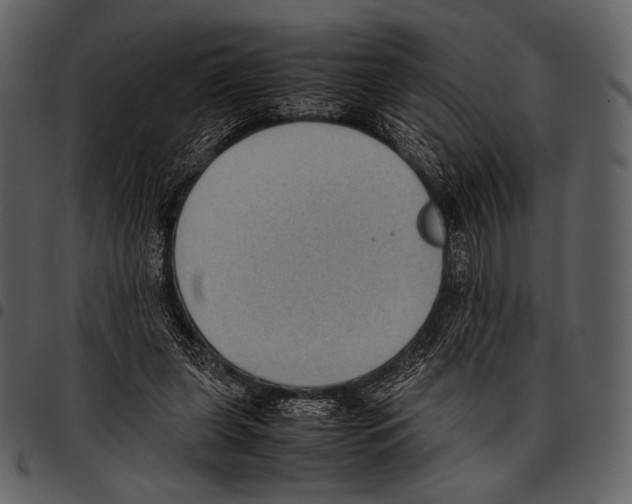 X0000097500255200803201558