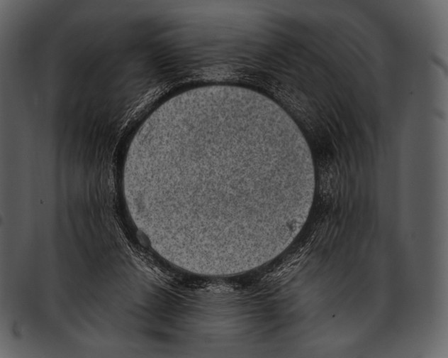 X0000097500256200803201558