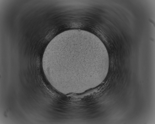 X0000097500257200803201558