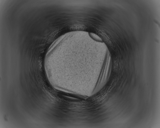 X0000097500259200803201558