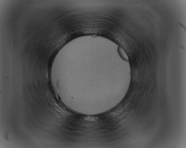 X0000097500261200803201558