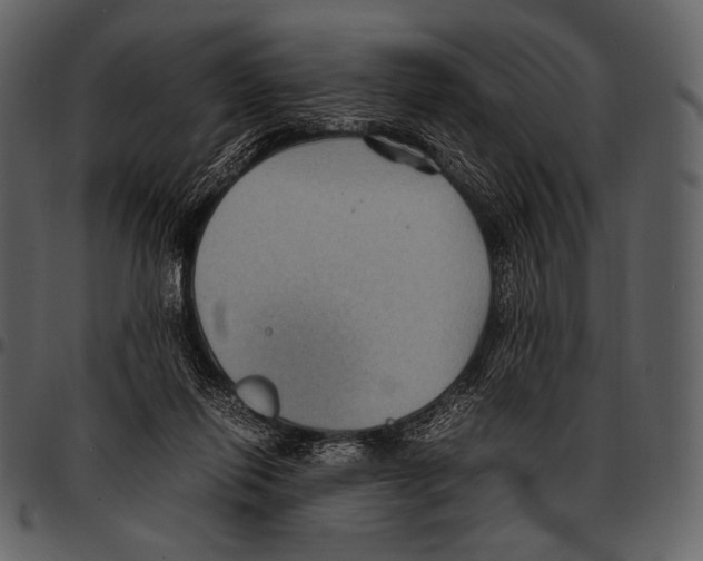 X0000097500262200803201558