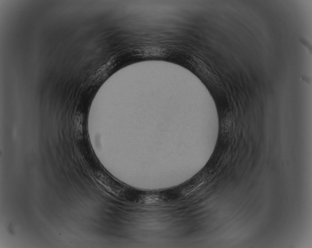 X0000097500264200803201558