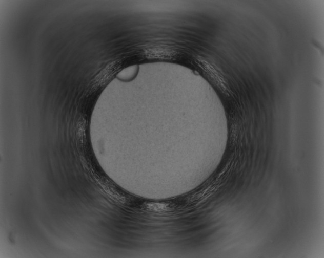 X0000097500265200803201558