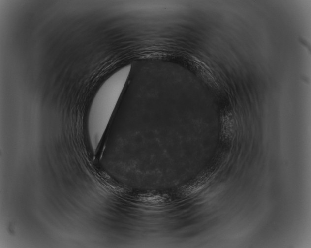 X0000097500267200803201559
