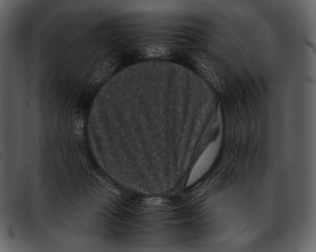 X0000097500269200803201559