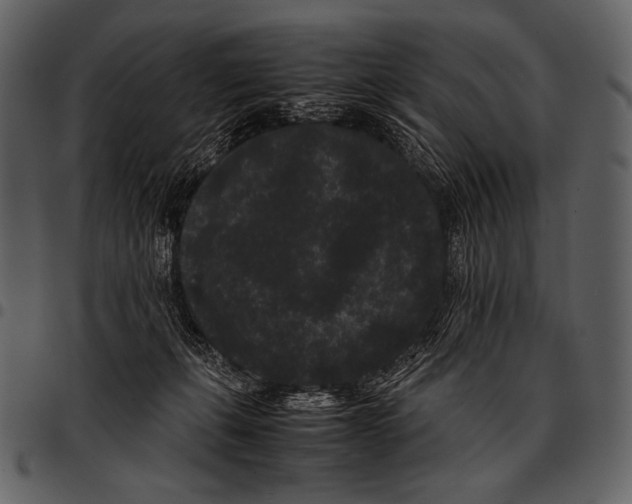 X0000097500271200803201559