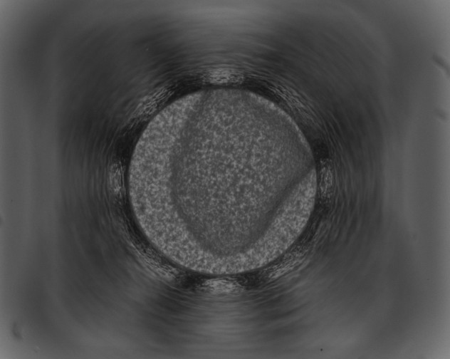X0000097500272200803201559